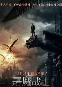 屠魔战士国语